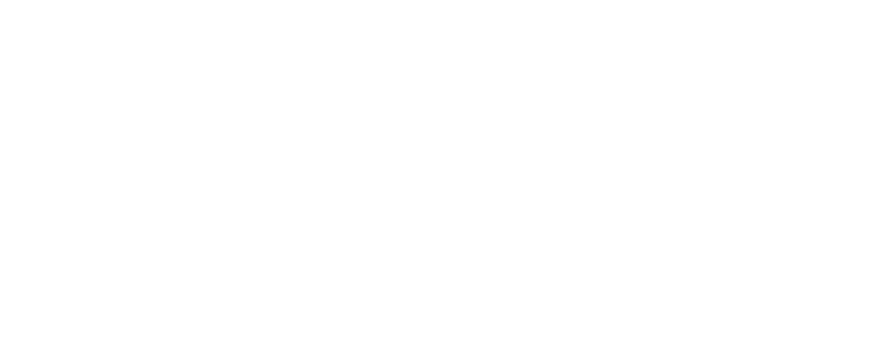 Logo Bibi